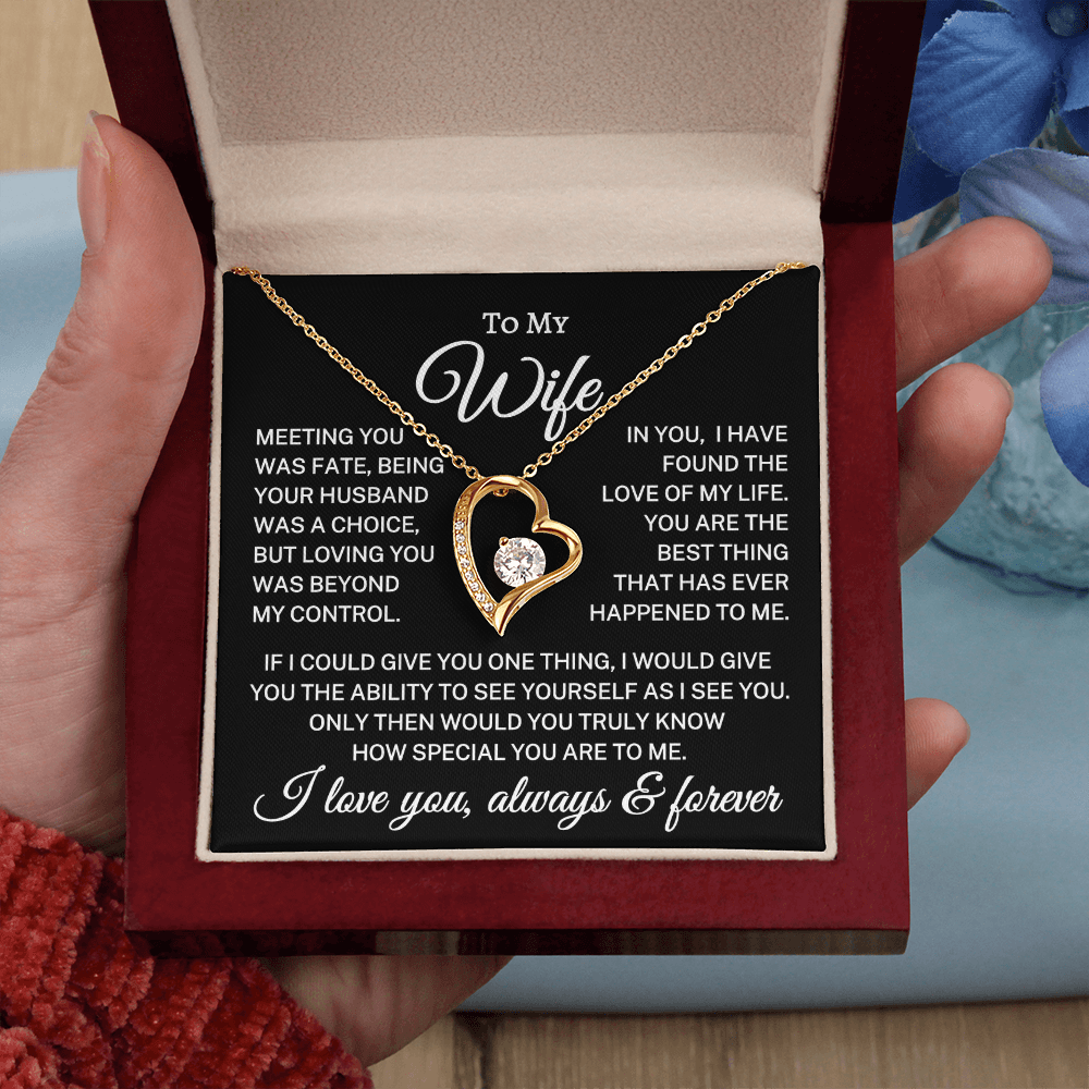 Gift for Wife "Meeting You Was Fate" | Forever Love Necklace