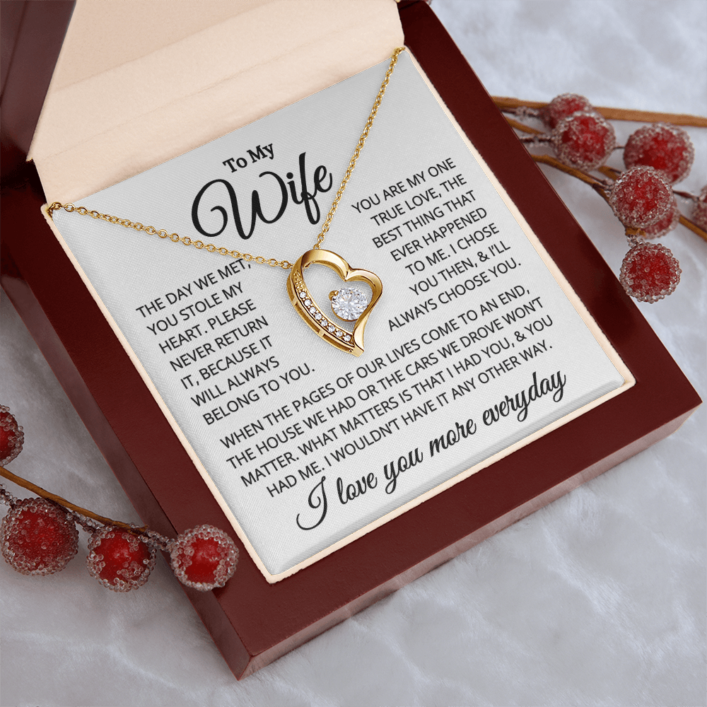 Gift for Wife "You Stole My Heart" | Forever Love Necklace