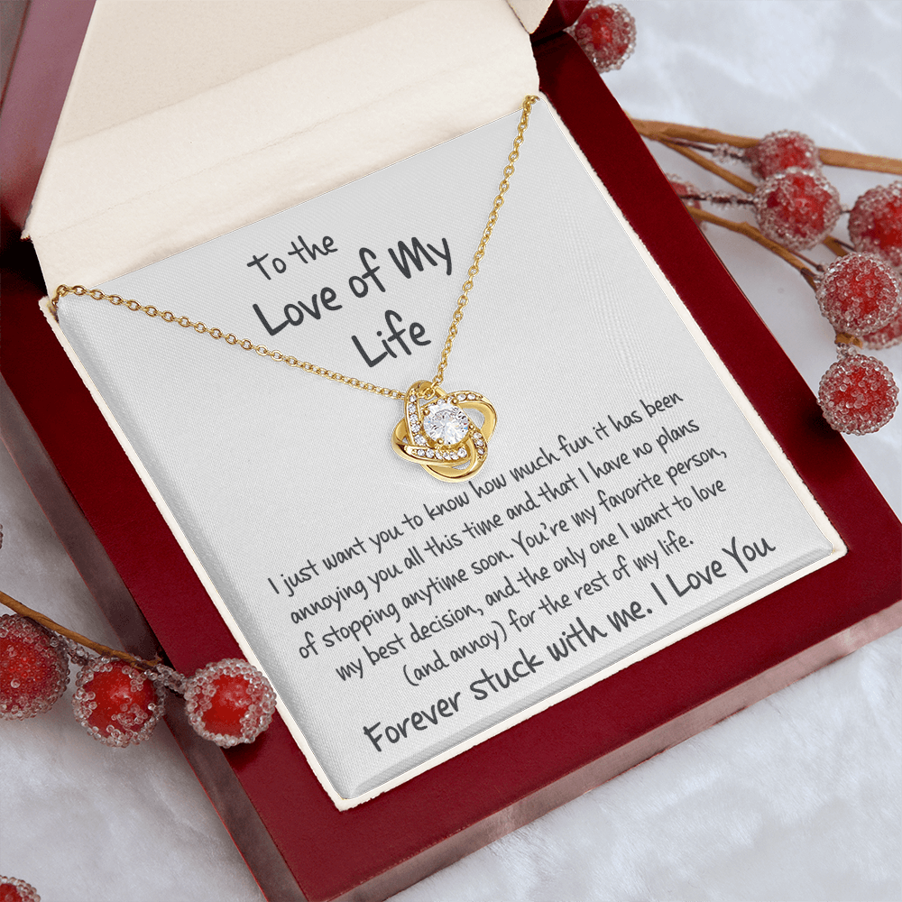 To The Love of My Life "No Plans of Stopping" | Love Knot Necklace