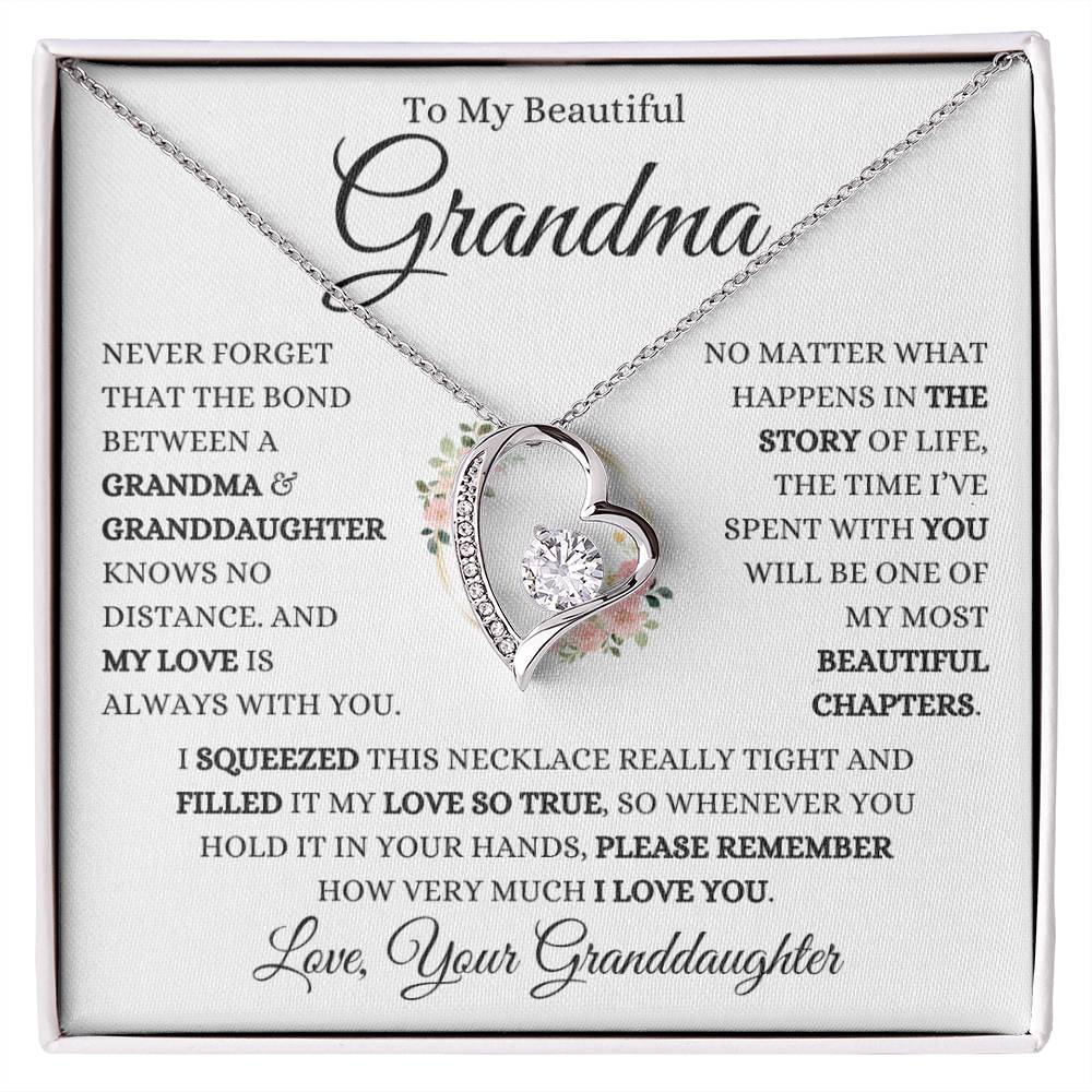 Grandma "Beautiful Chapters" | Forever Heart Necklace - 14k White Gold Finish / Standard Box Shoptopia Jewelry