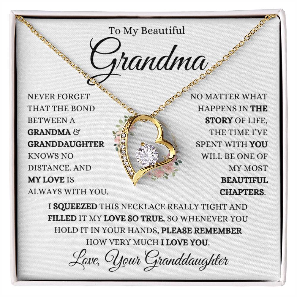 Grandma "Beautiful Chapters" | Forever Heart Necklace - 18k Yellow Gold Finish / Standard Box Shoptopia Jewelry