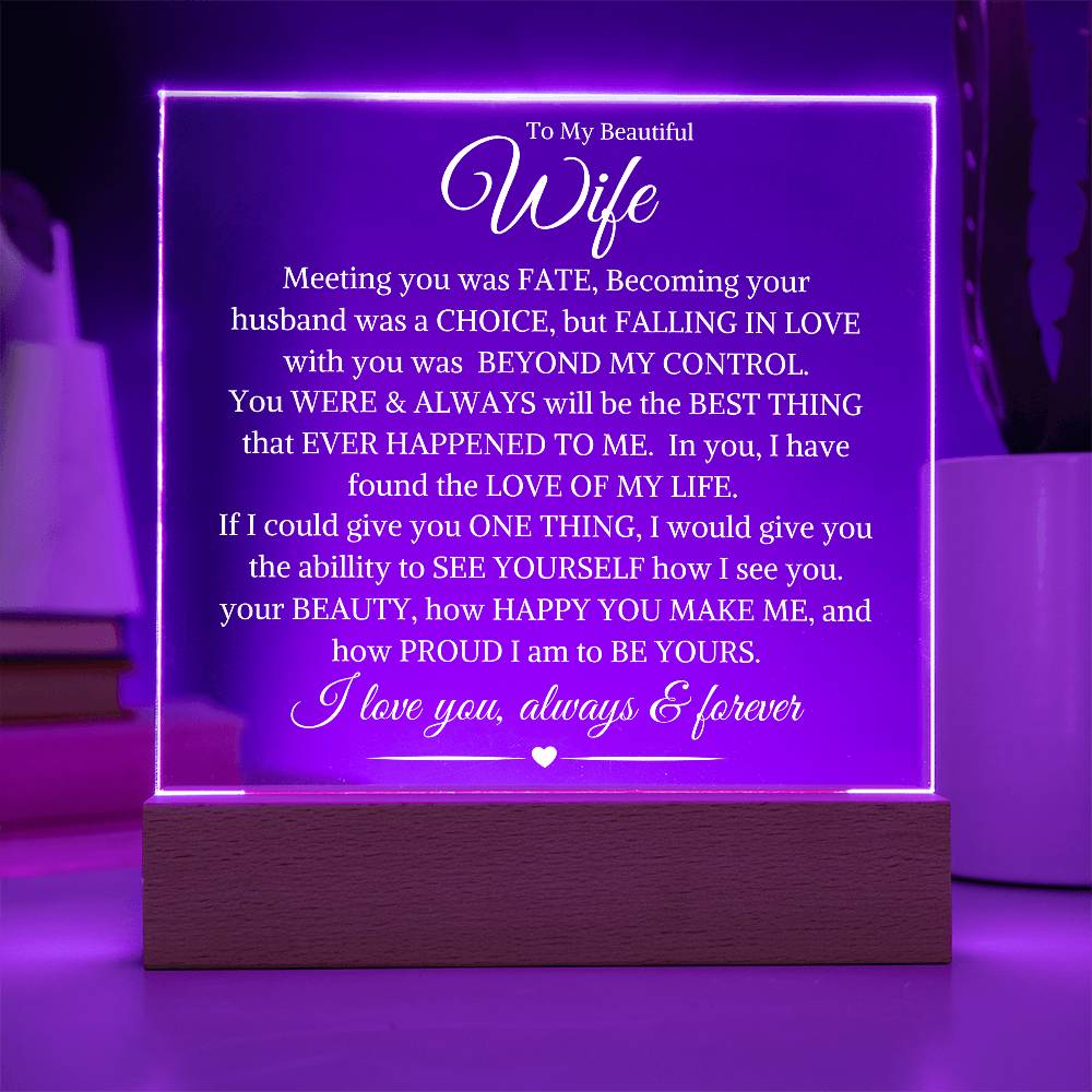 Wife "Beyond My Control" | Acrylic LED Light Plaque