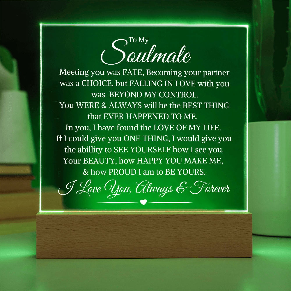 Soulmate "Beyond My Control" From Partner | Acrylic LED Plaque