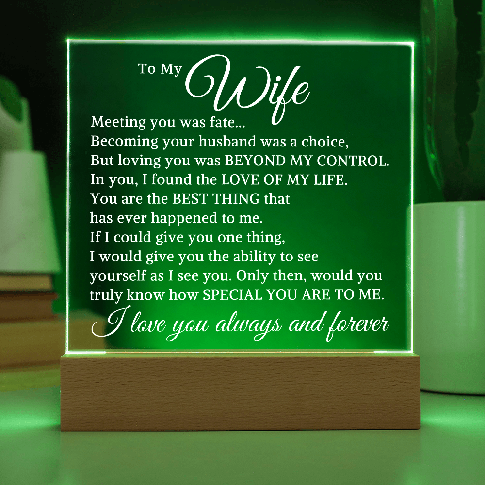 Gift for Wife "I Found The Love of My Life" | Acrylic Plaque With Lighted Base