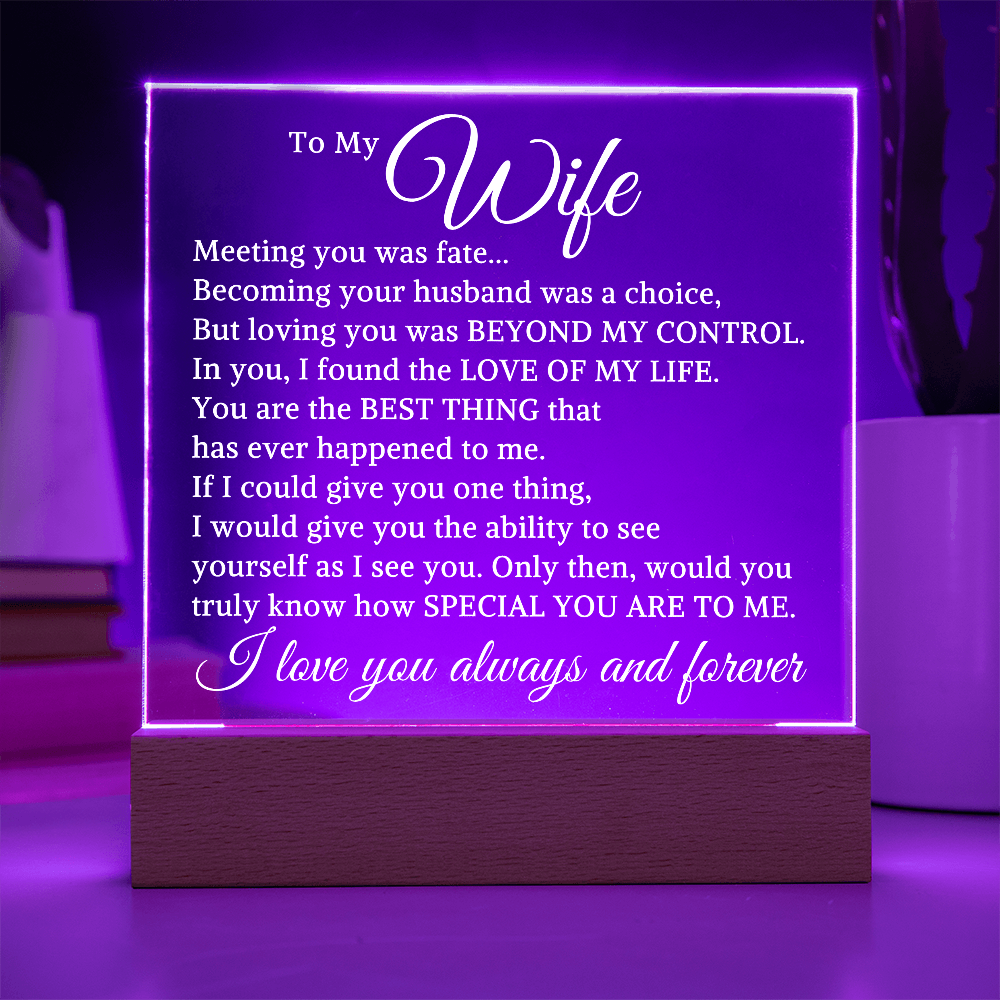 Gift for Wife "I Found The Love of My Life" | Acrylic Plaque With Lighted Base