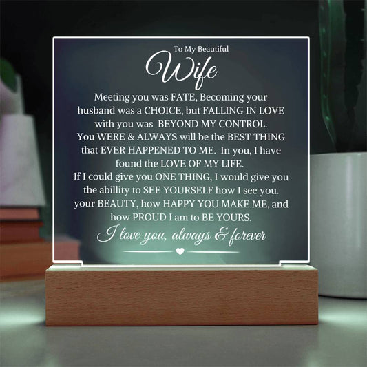Wife "Beyond My Control" | Acrylic LED Light Plaque